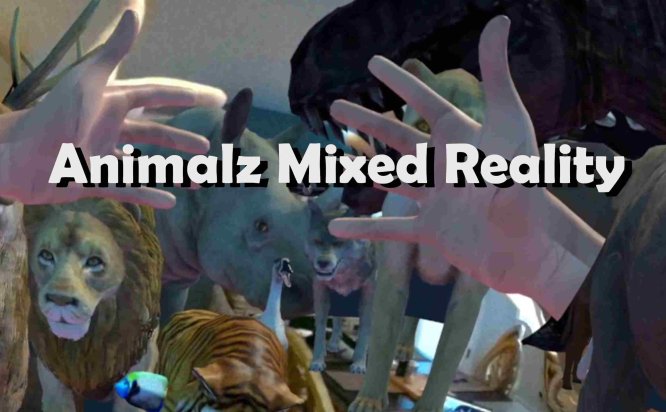 Oculus Quest 游戏《动物混合现实》Animalz Mixed Reality