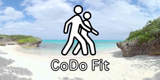 Oculus Quest 程序《健康运动》CoDo Fit