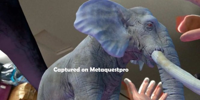 Meta Quest 游戏《丛林动物园海洋穿越》Jungle Zoo Ocean Passthrough Handtracking