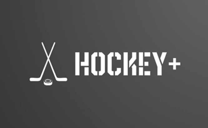 Oculus Quest 游戏《曲棍球+》Hockey+