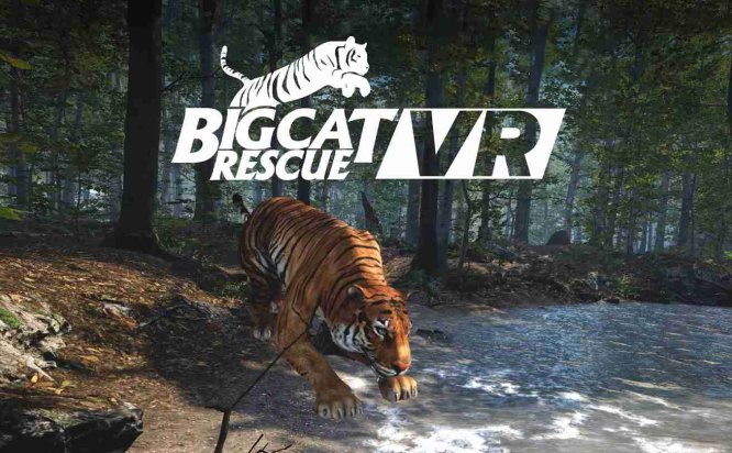 Meta Quest 游戏《大型猫科动物》Big Cat Rescue
